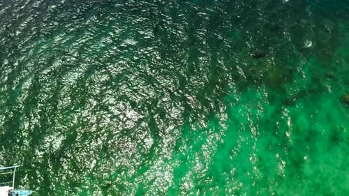 Top View of a Clean Ocean Water Near a Coast