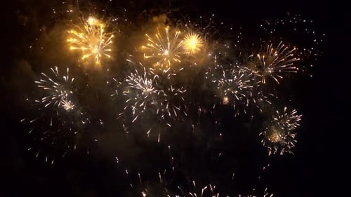 Golden Fireworks Exploding in the Night Sky