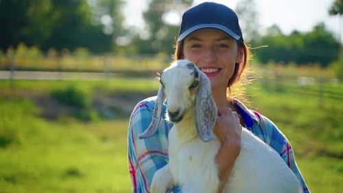 Une visiteuse de la ferme tient un écotourisme de petite chèvre boer dans une ferme bovine