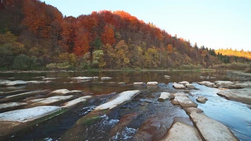 Slider Pan Slow Motion Video River Rapids with Autumn Forests on Banks