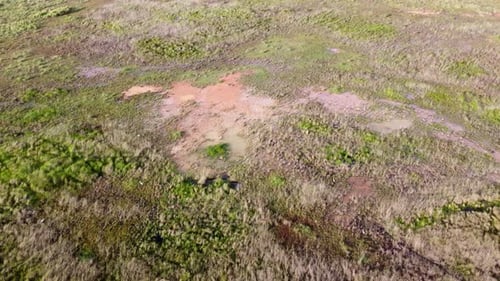 Aerial view dry grass at wetland