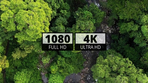 AH - Forest River 06