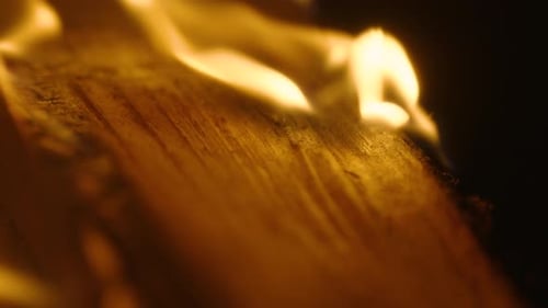 Burning Wood Fire in Extreme Close Up