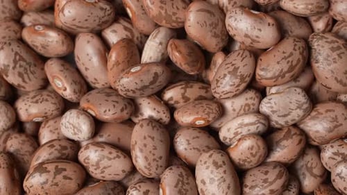 Pile of Pinto Beans in Close-up Shot