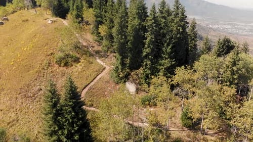 Lone Hiker on Forest Mountain Trail Aerial Shot