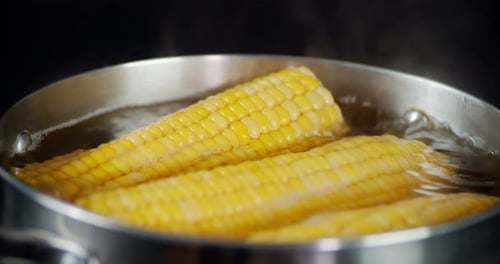 Yellow Corn Boils in Water Pot on Stove