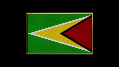 Guyana National Flag Rotating 3D Animation