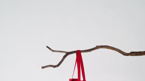 Bolso de mano colgado en una rama