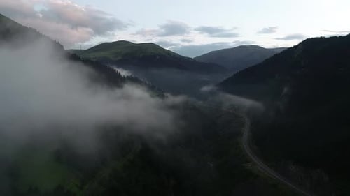 Fog Road In The Mountain Forest