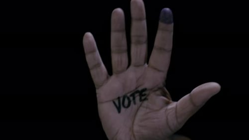 Hand With Vote Written On Palm
