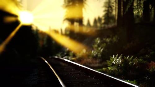 Golden Light Rays on Forest Railroad Tracks