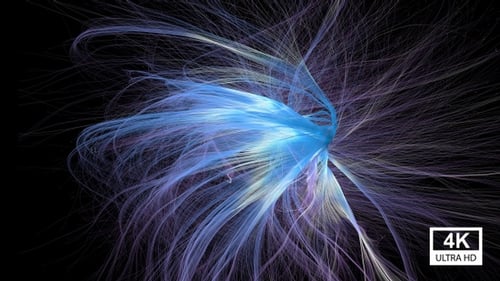 Abstract Fluid Flowing Light Trails Animation
