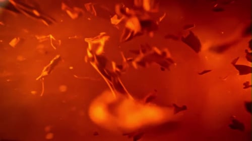 Amber Liquid with Floating Tea Leaves