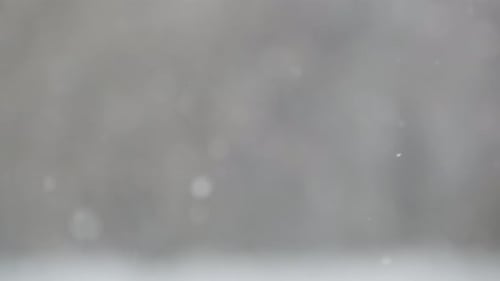 White Snow Flakes Falling in Winter Snowflakes of Wintry Christmas Snowfall