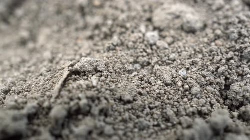 Imprimación Rotación Tierra Negra 3