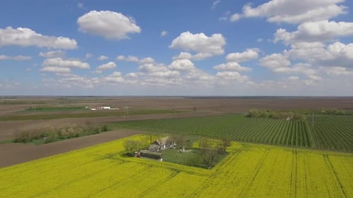 Aerial View of Farm Surrounded by Yellow Fields