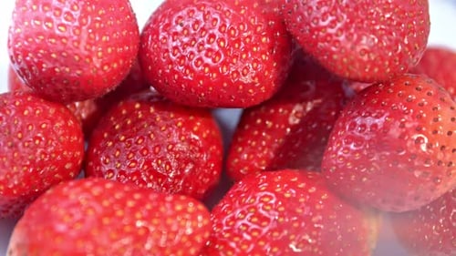 Closeup Heap of Glossy Fresh and Ripe Red Strawberries Rotating Shot