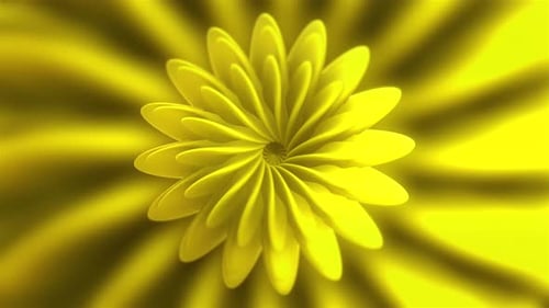 Geometric Yellow Flower Petals Morphing Background Animation