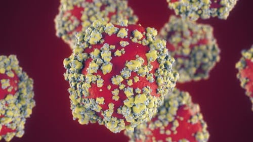 Nuevo concepto de coronavirus 2019-nCoV