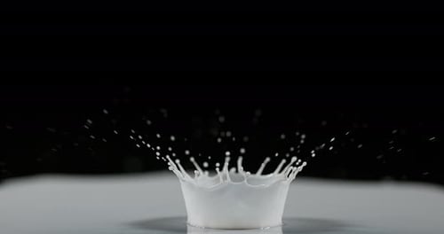 Tropfen Milch fällt vor schwarzem Hintergrund, Zeitlupe 4K