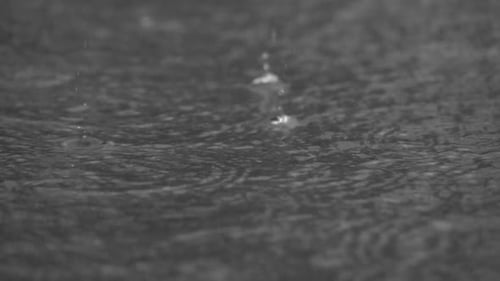 Rains