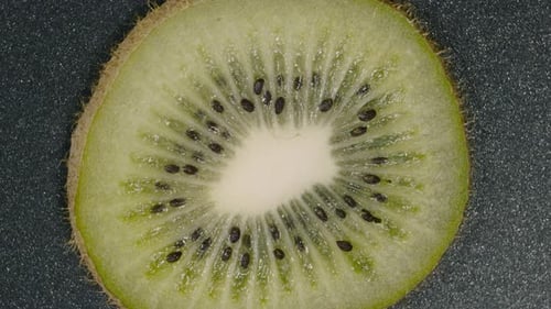 Kiwi Slice Top