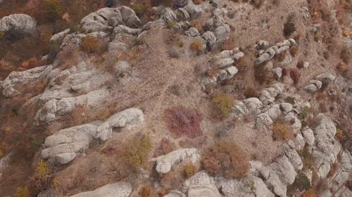 Rocky Mountain in the Evening at Sunset