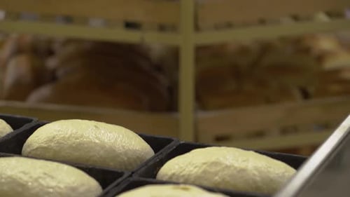 Bakery baking process in factory. Process of preparing bread dough before being baked.