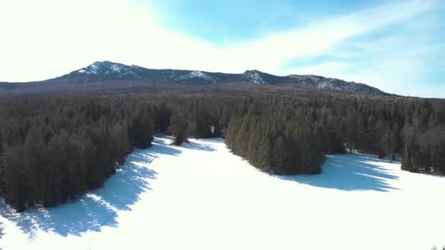 Mountains And Coniferous Forest