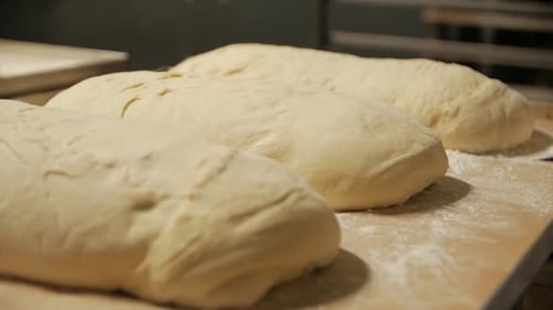 Uncooked Bread Dough Resting in Bakery