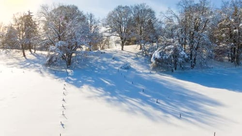 Winter landscape