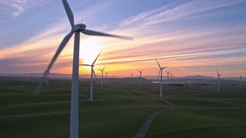 Wind Farm In The Sunset