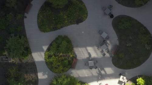 AERIAL: Bird View of Skyscraper Garden with Green Trees in Urban Environment with City Traffic at