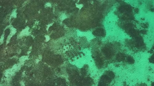 Vista aérea de la costa y la barrera de coral