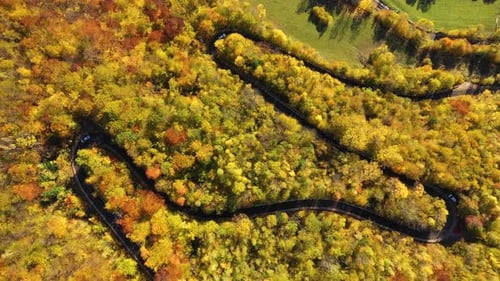 Aerial Above View of Epic Colorful Autumn Forest Winding Road, Serpentine