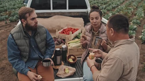 Having Lunch Together