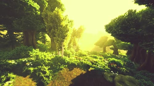 Cartoon Flowering Green Forest on Sunset
