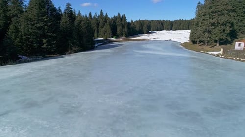Frozen lake and snow in the forest.