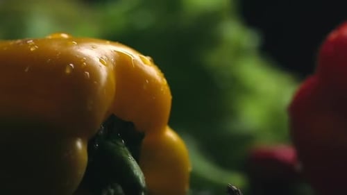 Yellow Pepper