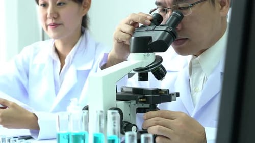 Scientist looking microscope