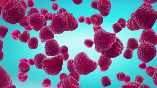 Fresh Raspberries Falling on Blue Sky Background Seamless Loop