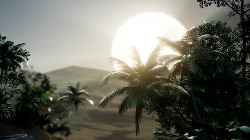 Tropical Palm Trees Swaying in Hazy Sunset Landscape Animation