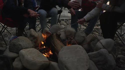 Group of young family and friends sitting around campfire