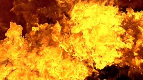 Feuer Reveal
