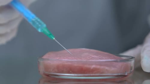 Injecting Blue Substance into Meat Sample in Petri Dish