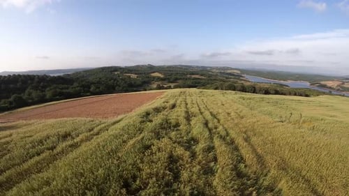Green Field and Distant Lake Aerial View