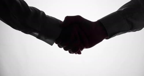 Business Deal Handshake Between Two Colleagues