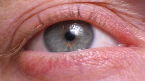 Macro male eye. pupil and iris close-up