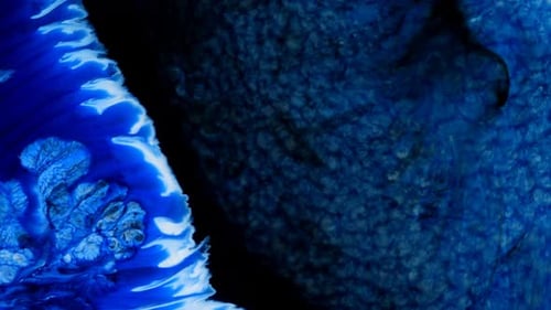 Blue Spots are Blurred on a Light Background
