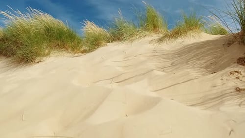 The Dunes of Camber Sands Beach, East Sussex, England, UK